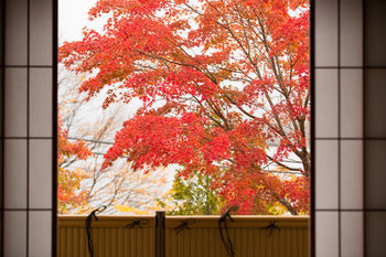 Hoshino Resorts Kai Nikko Exterior foto